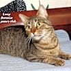 Thumbnail photo of Lucy #2