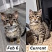 Thumbnail photo of Dobby #1