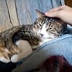 Thumbnail photo of Toby #1