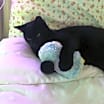 Thumbnail photo of Lucifer #4