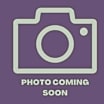 Thumbnail photo of 56260153 #1