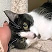Thumbnail photo of Destiny #3