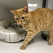 Thumbnail photo of Nellie #2