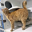 Thumbnail photo of Nellie #3