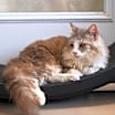 Thumbnail photo of Blanche #2