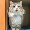 Thumbnail photo of Blanche #3