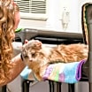 Thumbnail photo of Blanche #4