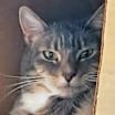 Thumbnail photo of Jax #4