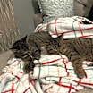 Thumbnail photo of Hex #2