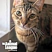 Thumbnail photo of Pookie #1