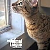 Thumbnail photo of Pookie #3