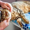 Thumbnail photo of LuLu Lime #1