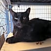 Thumbnail photo of Stormy #3
