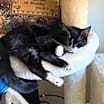 Thumbnail photo of Shirley + Stanley #3