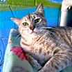 Thumbnail photo of Eleanor #1