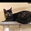Thumbnail photo of Beverly (Bev) #1