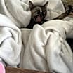 Thumbnail photo of Beverly (Bev) #2