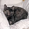 Thumbnail photo of Beverly (Bev) #3