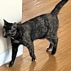 Thumbnail photo of Beverly (Bev) #4