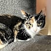Thumbnail photo of Twyla #2