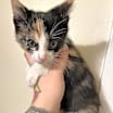 Thumbnail photo of Twyla #3