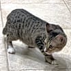 Thumbnail photo of Avery #2