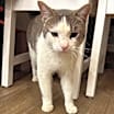 Thumbnail photo of Walter #2