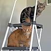 Thumbnail photo of Puff #4