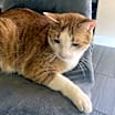 Thumbnail photo of Chico #2