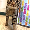 Thumbnail photo of Andrew #3