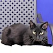 Thumbnail photo of Wally #2