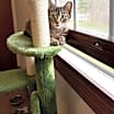 Thumbnail photo of Franki #4