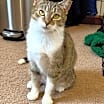 Thumbnail photo of Lovey #1
