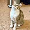 Thumbnail photo of Lovey #3