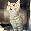 Thumbnail photo of Penelope #2