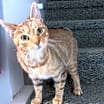 Thumbnail photo of Delilah #3