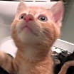 Thumbnail photo of Duckie #3