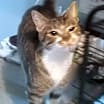 Thumbnail photo of Stella #4