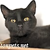 Thumbnail photo of Nigel #18746 #2