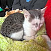Thumbnail photo of Aline #4