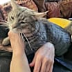 Thumbnail photo of Babes #1