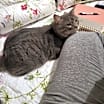 Thumbnail photo of Babes #2