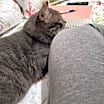 Thumbnail photo of Babes #4