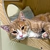 Thumbnail photo of Peter #1