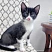 Thumbnail photo of Quigley #1