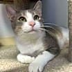 Thumbnail photo of Munchy #2
