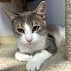 Thumbnail photo of Munchy #3