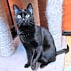 Thumbnail photo of Yada #2