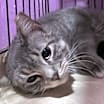 Thumbnail photo of KIMI C. #3