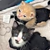 Thumbnail photo of Jack #2